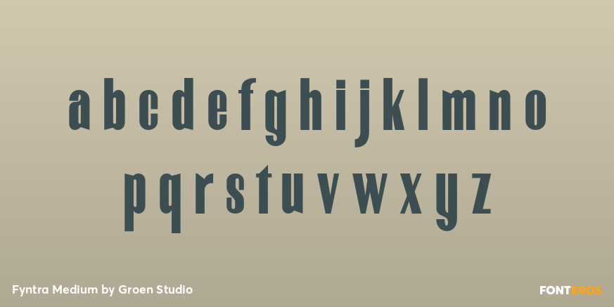 Fyntra Medium Font Poster #3