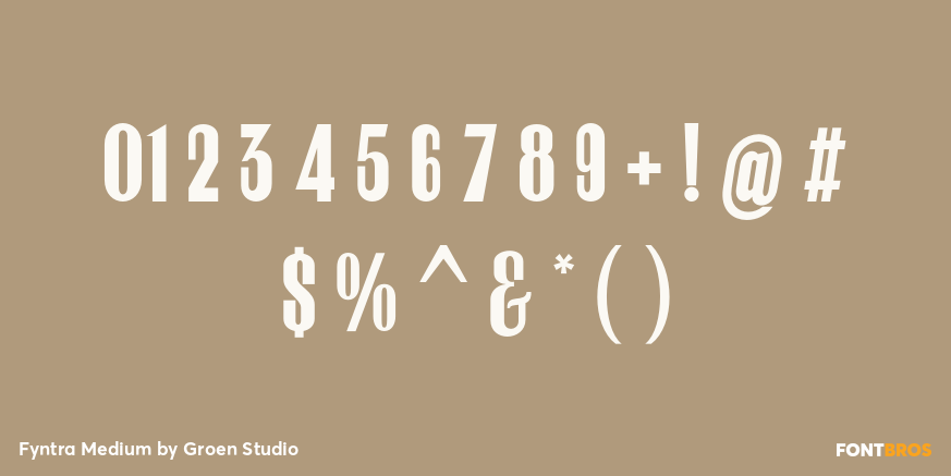 Fyntra Medium Font Poster #4
