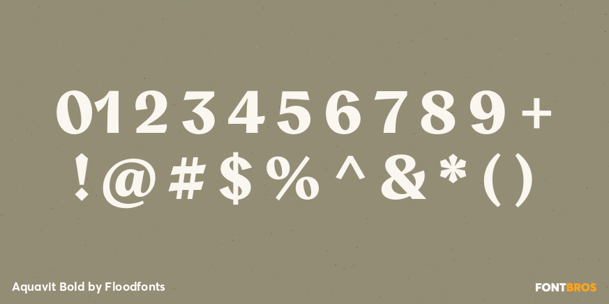 Aquavit Bold Font Poster #1