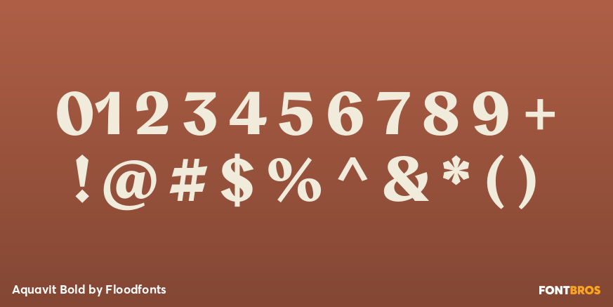 Aquavit Bold Font Poster #4