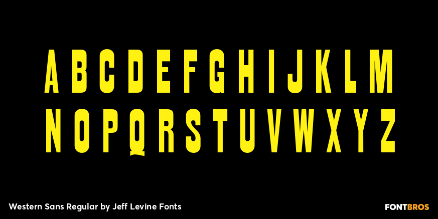 Western Sans Regular Font Poster #3