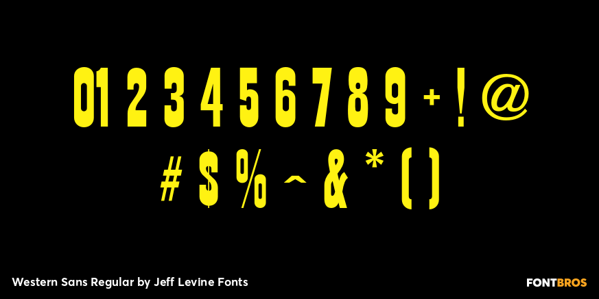 Western Sans Regular Font Poster #4