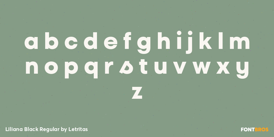 Liliana Black Regular Font Poster #3