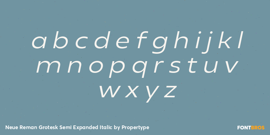 Neue Reman Grotesk Semi Expanded Italic Font Poster #3