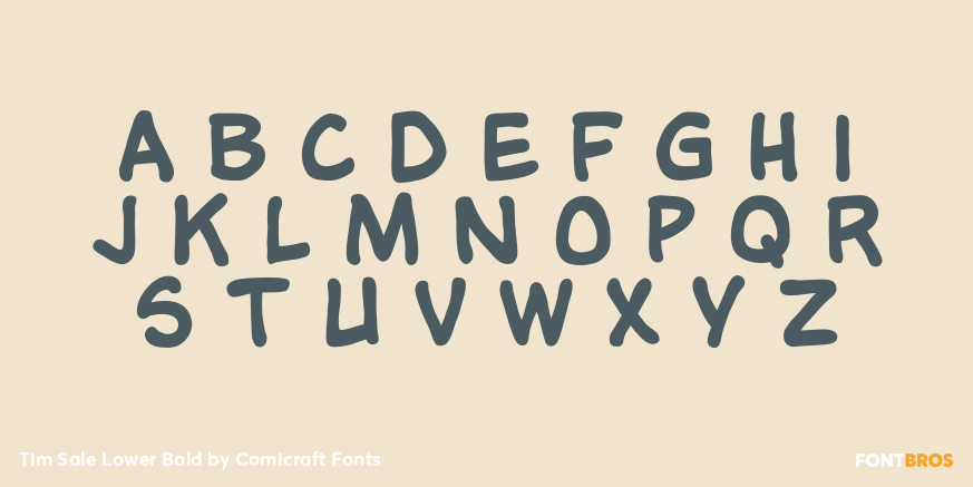 Tim Sale Lower Bold Font Poster #2