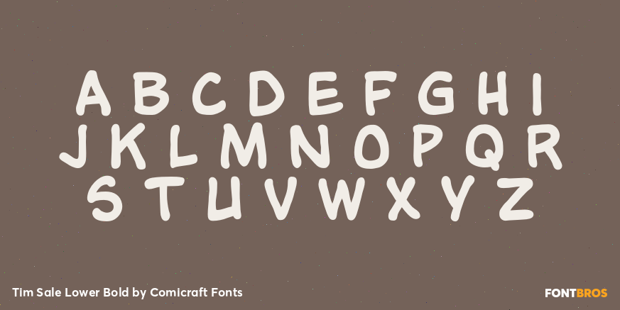 Tim Sale Lower Bold Font Poster #2