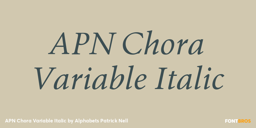 APN Chora Variable Italic Font Poster