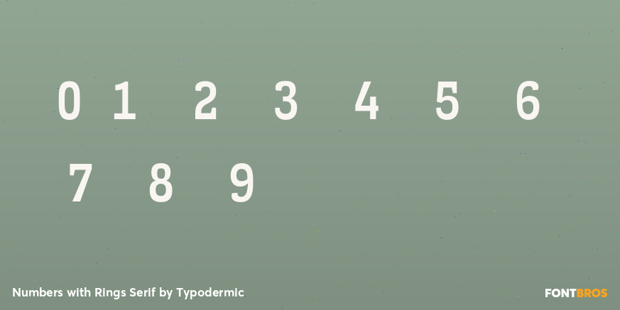 Numbers with Rings Serif Font Poster #4