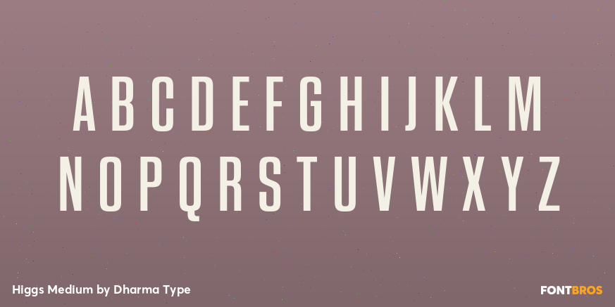 Higgs Medium Font Poster #2