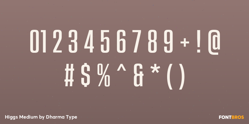 Higgs Medium Font Poster #4