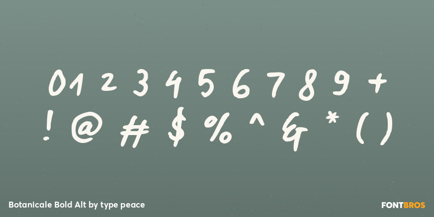 Botanicale Bold Alt Font Poster #4