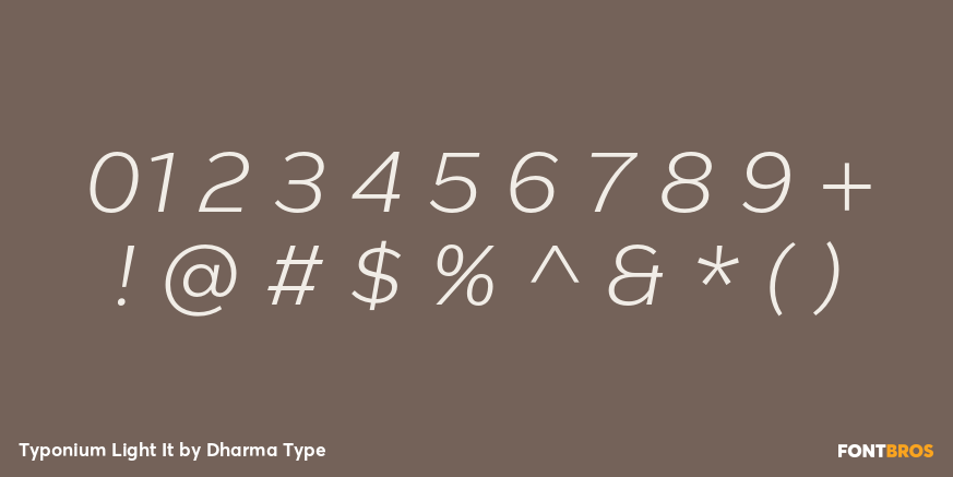 Typonium Light It Font Poster #4