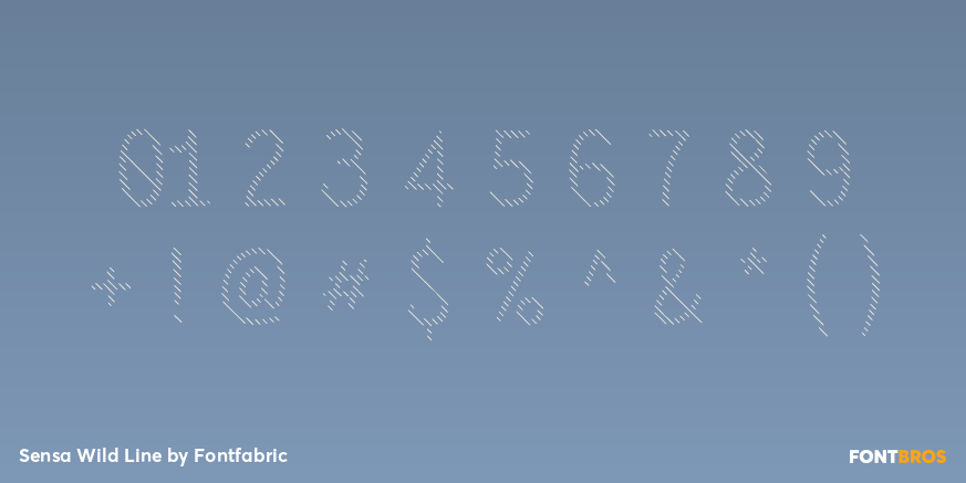 Sensa Wild Line Font Poster #1