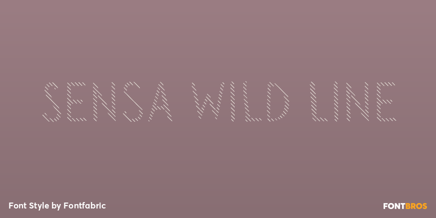 Sensa Wild Line Font Poster #1