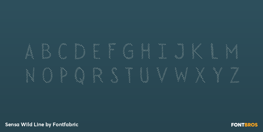 Sensa Wild Line Font Poster #2