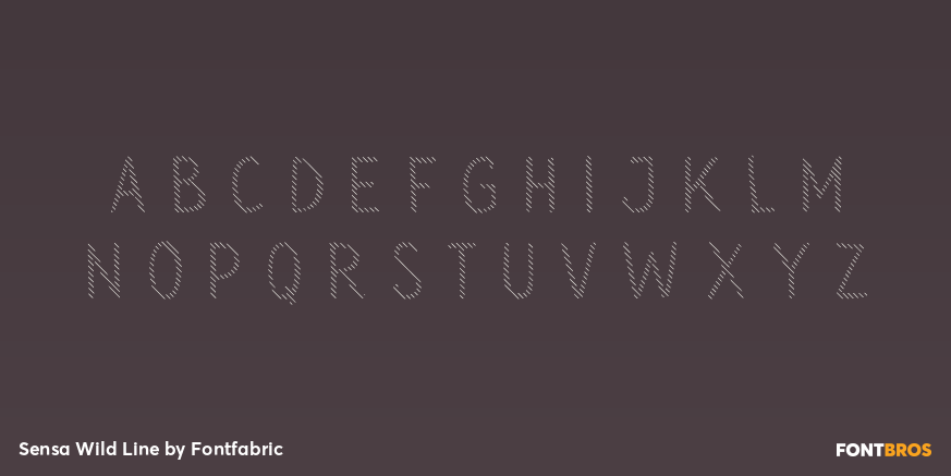 Sensa Wild Line Font Poster #3