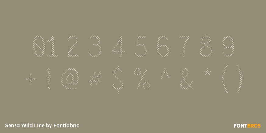 Sensa Wild Line Font Poster #4