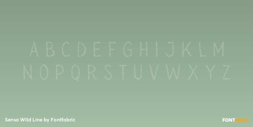 Sensa Wild Line Font Poster #1