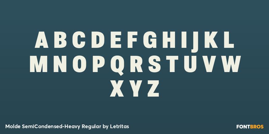 Molde SemiCondensed-Heavy Regular Font Poster #2