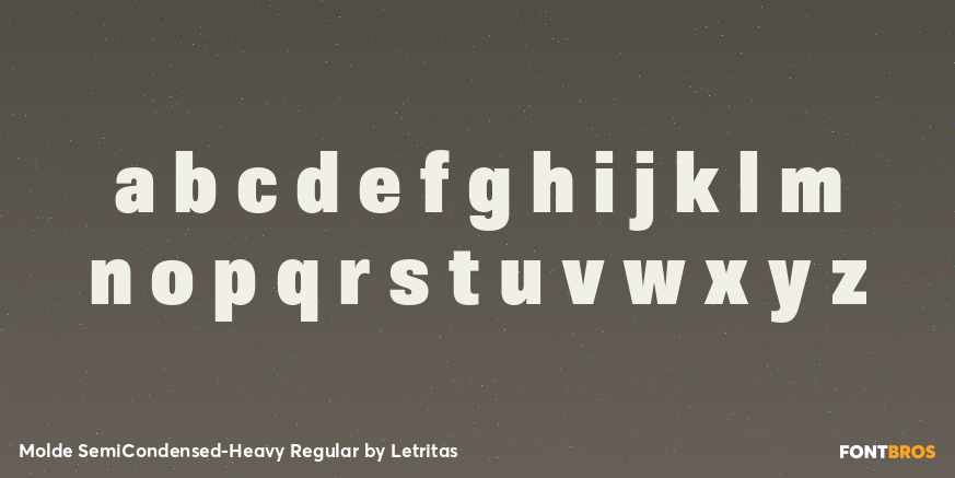 Molde SemiCondensed-Heavy Regular Font Poster #3