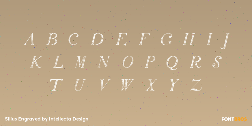 Silius Engraved Font Poster #3