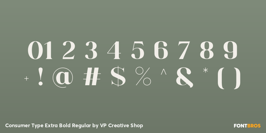 Consumer Type Extra Bold Regular Font Poster #4