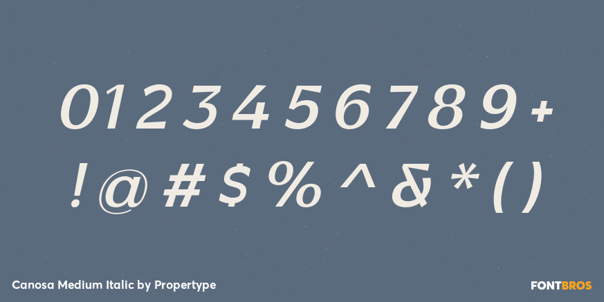 Canosa Medium Italic Font Poster #4