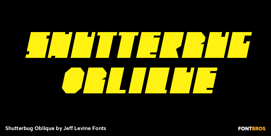 Shutterbug Oblique Poster