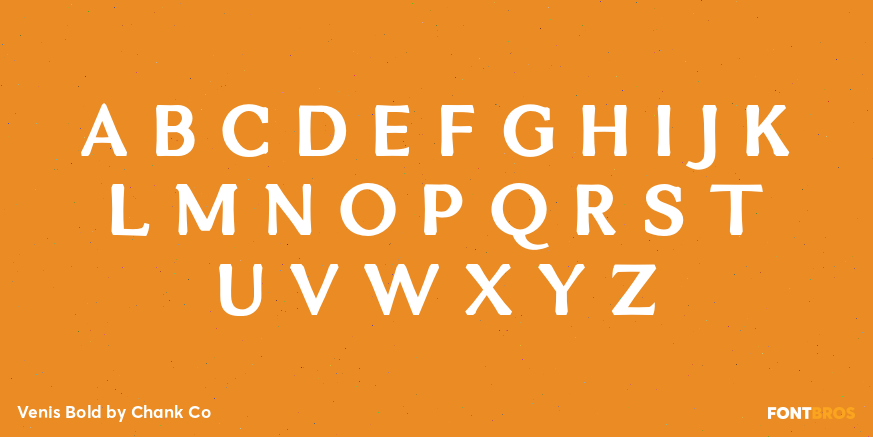 Venis Bold Font Poster #2