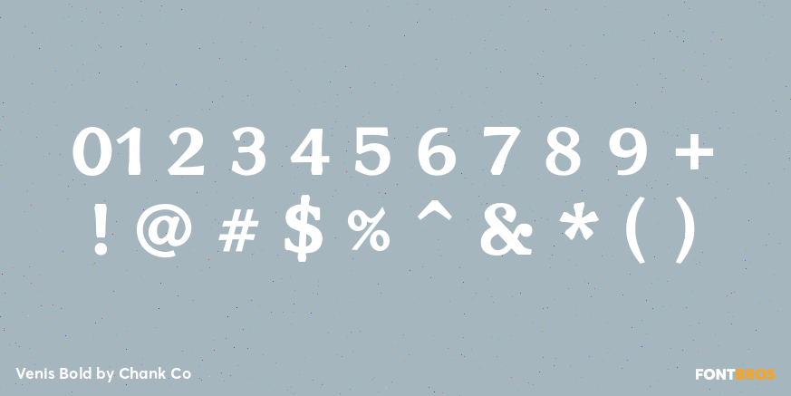 Venis Bold Font Poster #4