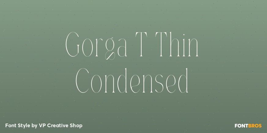 Gorga T Thin Condensed Poster