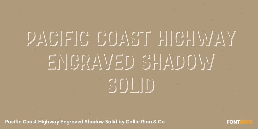 Pacific Coast Highway Engraved Shadow Solid Poster
