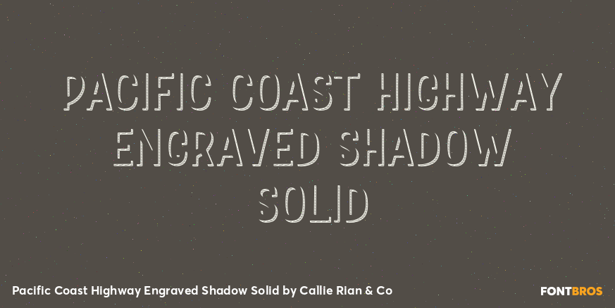 Pacific Coast Highway Engraved Shadow Solid Poster