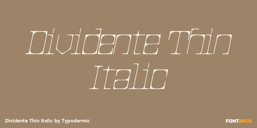 Dividente Thin Italic Font Poster #1