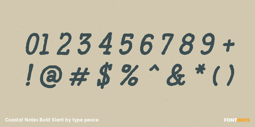 Coastal Notes Bold Slant Font Poster #4