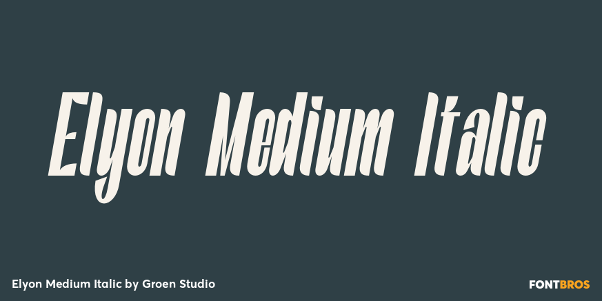 Elyon Medium Italic Poster