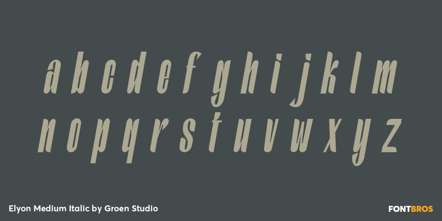 Elyon Medium Italic Font Poster #3