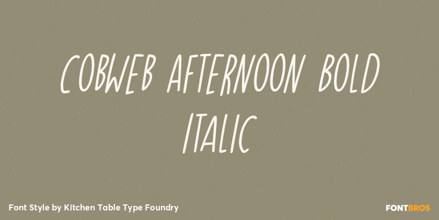 Cobweb Afternoon Bold Italic Font Poster #1