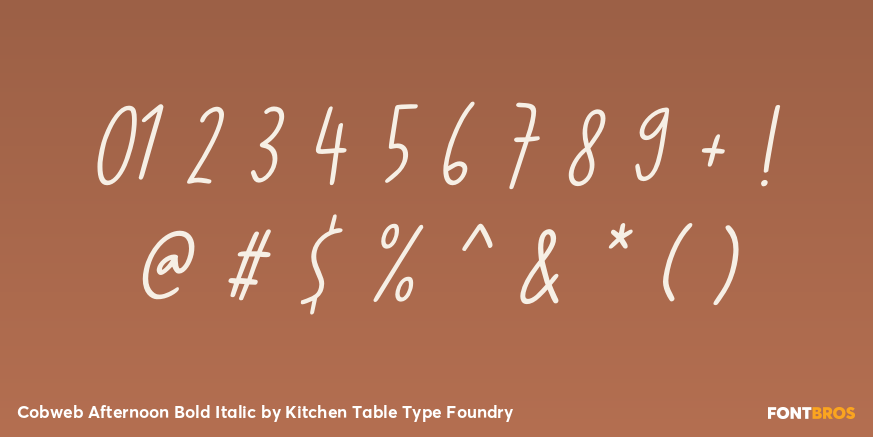 Cobweb Afternoon Bold Italic Font Poster #4