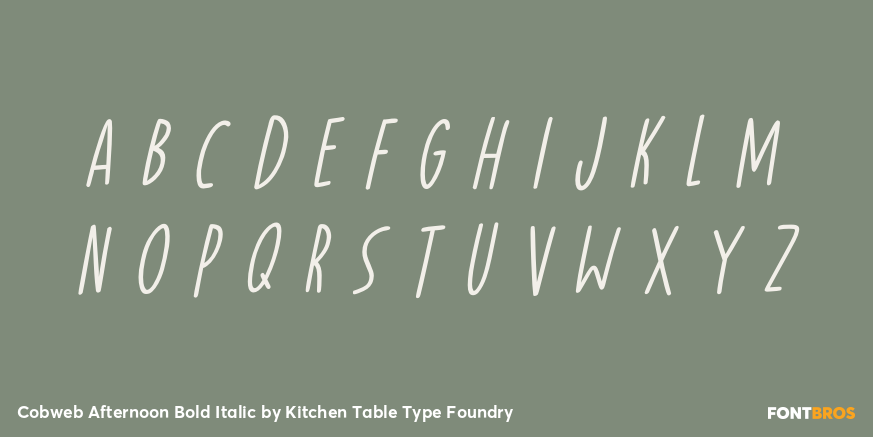 Cobweb Afternoon Bold Italic Font Poster #2