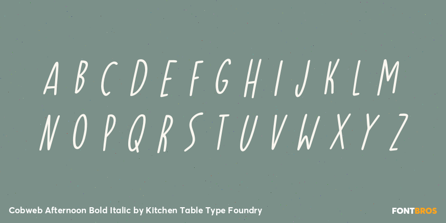 Cobweb Afternoon Bold Italic Font Poster #3