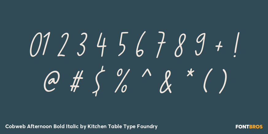 Cobweb Afternoon Bold Italic Font Poster #4