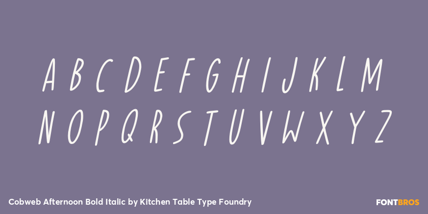 Cobweb Afternoon Bold Italic Font Poster #2