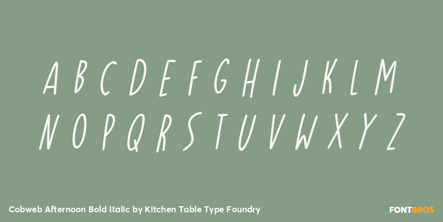 Cobweb Afternoon Bold Italic Font Poster #3