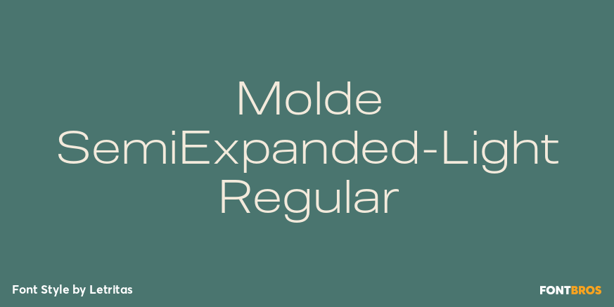 Molde SemiExpanded-Light Regular Font Poster #1