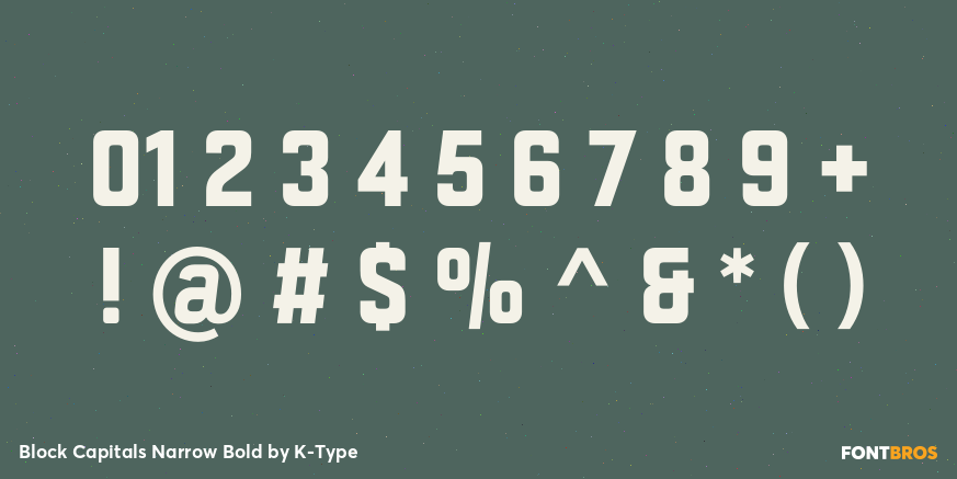 Block Capitals Narrow Bold Font Poster #4