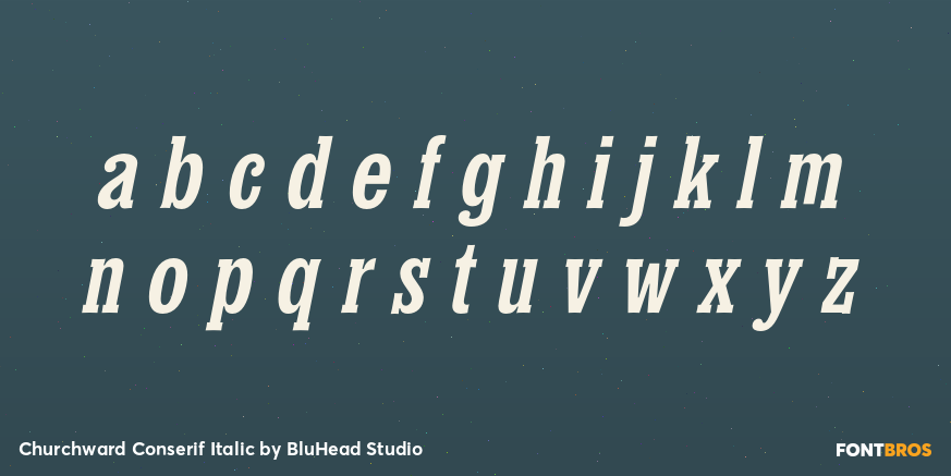 Churchward Conserif Italic Font Poster #3