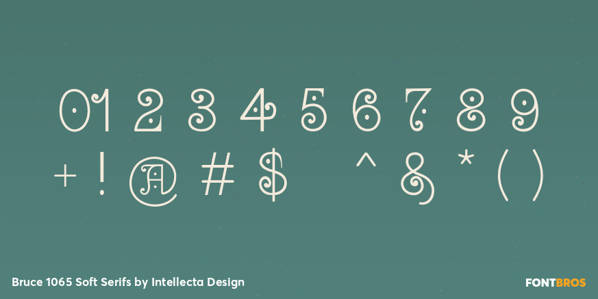 Bruce 1065 Soft Serifs Font Poster #1