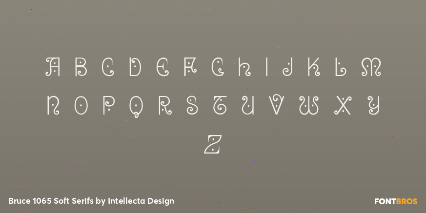 Bruce 1065 Soft Serifs Font Poster #3