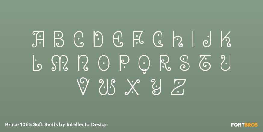 Bruce 1065 Soft Serifs Font Poster #1